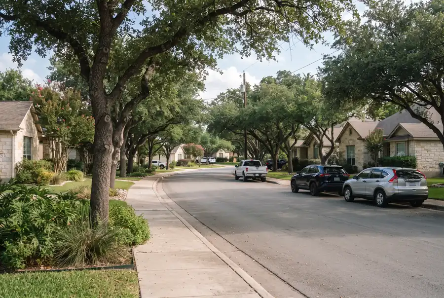 Quiet north San Antonio residential street with live oaks and limestone-fronted homes