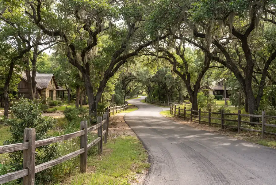 Wooded residential lane with large oak trees in Hill Country Village, Texas